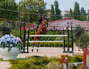 CHIMIRRI B KATAR ItaAss2013- S5 1387 : CHIMIRRI BRUNO, Campionati Italiani 2013, Cattolica, Horse Riviera Resort, KATAR Z, foto di Stefano Secchi ©